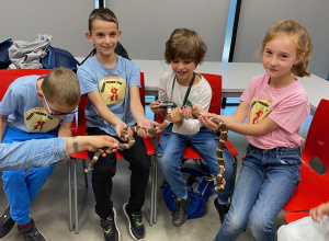 Czterech uczniów trzyma węża