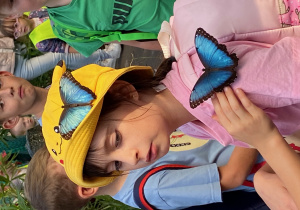 Dwa motyle usiadły na dziewczynce w żótym kapeluszu.