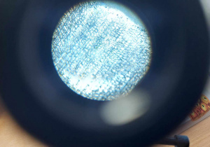obraz preparatu mikroskopowego