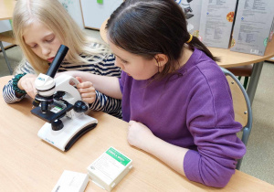 uczennice wykonują preparat o obserwują pod mikroskopem