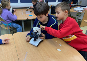 Uczniowie oglądają preparaty pod mikroskopem.1