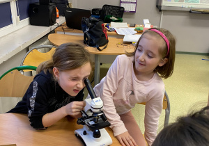 Uczniowie oglądają preparaty pod mikroskopem.3