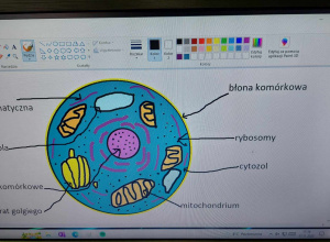 grafika komputerowa - budowa komórki w wykonaniu ucznia