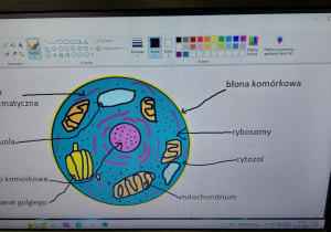 grafika komputerowa - budowa komórki w wykonaniu ucznia