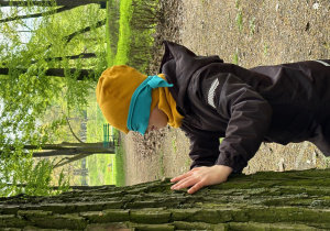 Uczeń z chustą na oczach dotyka drzewo.