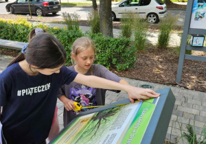 Uczniowie mierzą planszę ścieżki dydaktycznej.