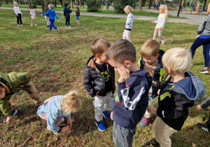 Dzieci zbierają kasztany