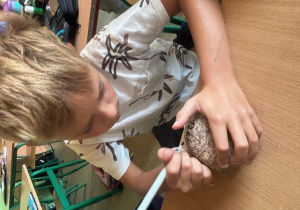 Chłopiec w białej koszulce maluje kamień.