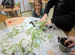 Warsztaty sadzenia roślin na kole ekologiczno-biologicznym „Ekolaki”