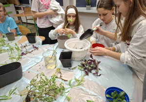 przygotowywanie podłoza do sadzenia