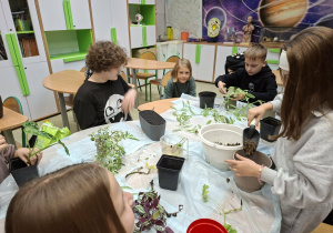 warsztaty z sadzenia roslin doniczkowych