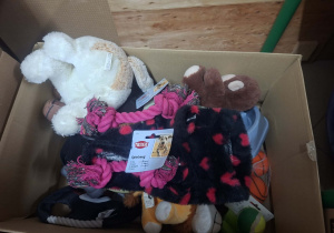 dary dla fundacji - smycze zabawki