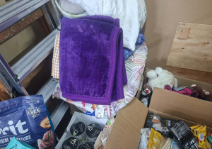 koce, posłania dla zwierząt