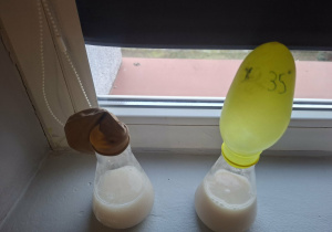 doświadczenie nt. drożdży