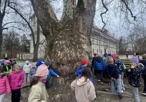 poszukiwanie wiosny w Nieborowie