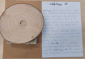 mebel zaprojektowany z myślą po nowoczesnych o oryginalnych wnętrzach