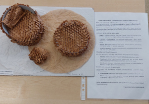 meble wykonane z recyklingowanej tektury falistej