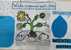 plakat - woda w organizmach żywych