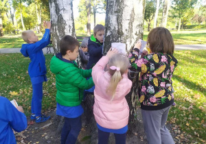 uczniowie poznaja nowe gatunki drzew