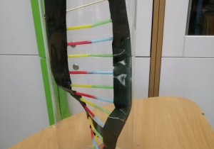 Model DNA w wykonaniu I. Jakubowskiego 8d