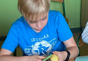 Uczeń obiera ziemniaki.
