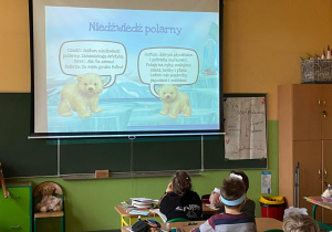 Uczniowie oglądają film o różnych gatunkach niedźwiedzi