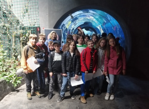 uczniowie klasy 5a w Orientarium zdjęcie grupowe na tle tunelu z rekinami