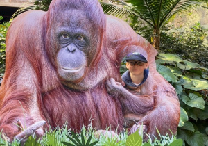 Uczeń w makiecie orangutana