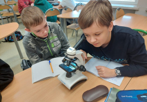 uczniowie wykonują obserwacje mikroskopowe