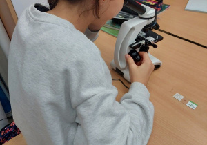 uczniowie wykonują obserwacje mikroskopowe