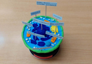 model komórki wykonany z plasteliny