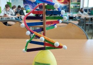 Model DNA wykonany z kolorowych sprężynek